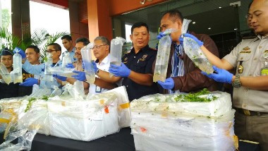 Penyelundupan Benih Lobster ke Singapura Digagalkan