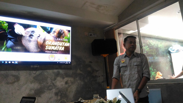 Populasi Orang Utan di Sumatera Terancam