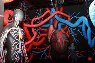 Tiga Titik Vital pada Tubuh yang Berpotensi Menyebabkan Kematian