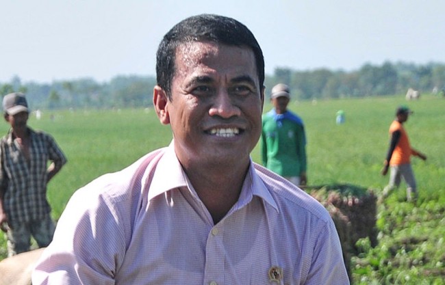 Mentan Jaga Harga Gabah Petani tak di Bawah HPP