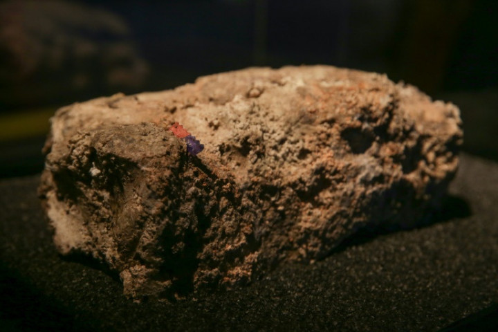 'Monster Fatberg' Goes on Public Display in London Museum