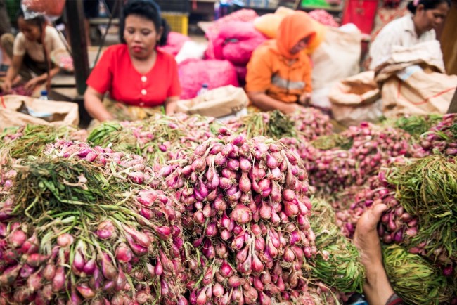 Harga Bawang di Medan Naik