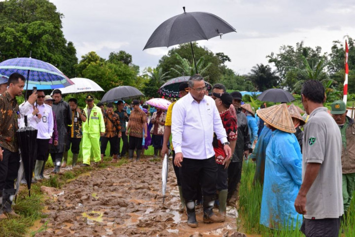 Jalan Tani jadi Skema Padat Karya Tunai di Gowa