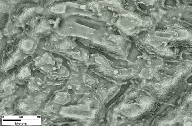 Kota Kuno Seluas Manhattan Ditemukan di Meksiko