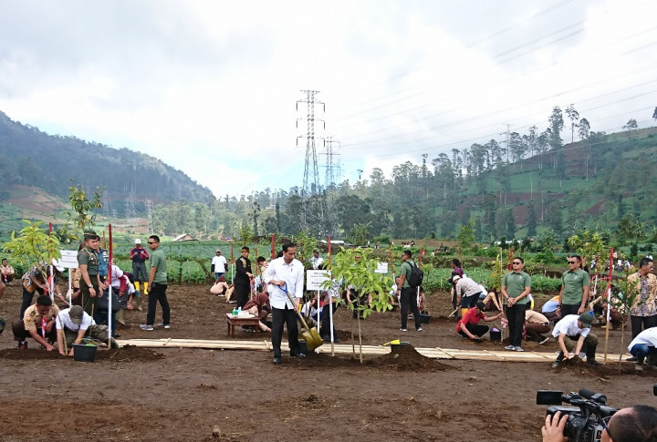 Rehabilitasi DAS Citarum Butuh 7 Tahun