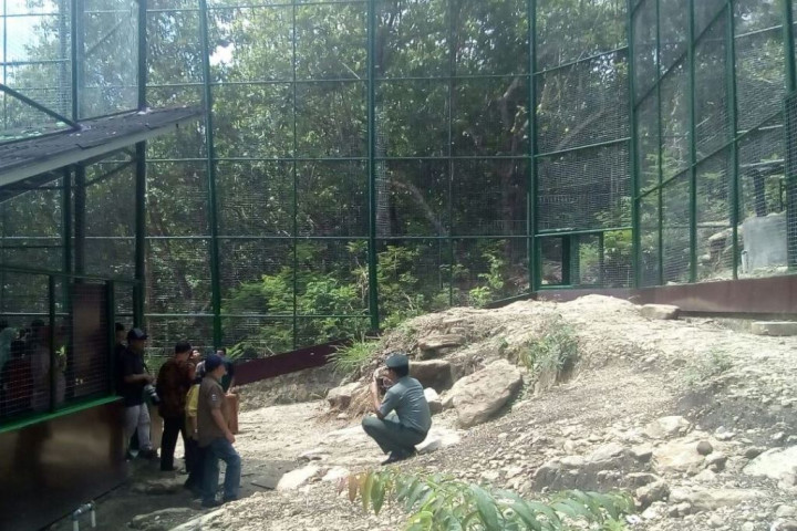 Yogyakarta Punya Lokasi Perlindungan Satwa Baru