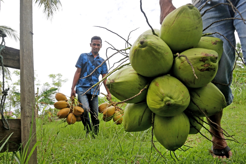 Ilustrasi (ANTARA FOTO/Irwansyah Putra)