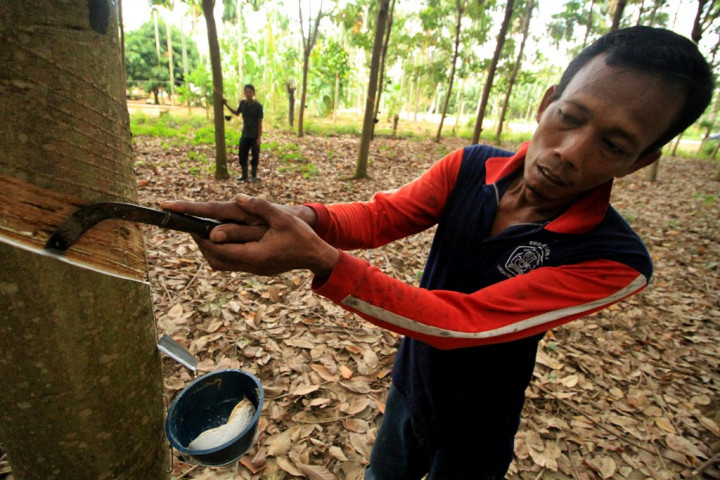 TLFF Luncurkan Obligasi Keberlanjutan untuk Perusahaan Karet Alam