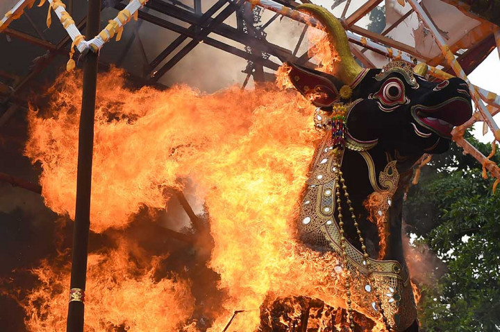 Ribuan Warga Saksikan Ngaben di Ubud