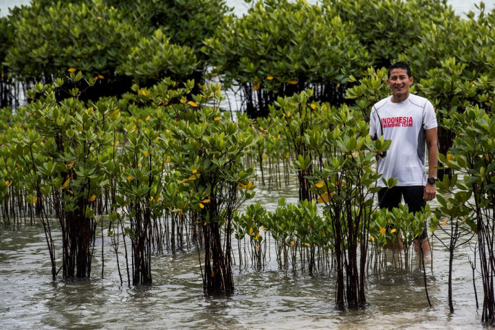 3 Jurus Sandi Membebaskan Kepulauan Seribu dari Sampah