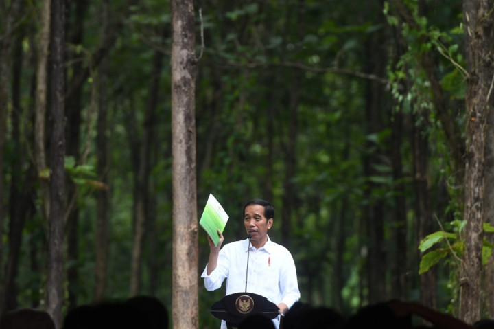 Jokowi Minta Pengembang Kawasan Industri Tiru Konsep JIIPE