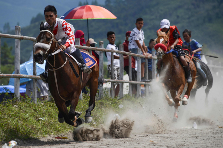 Pacuan Kuda Takengon, Atraksi Budaya di Tanah Gayo