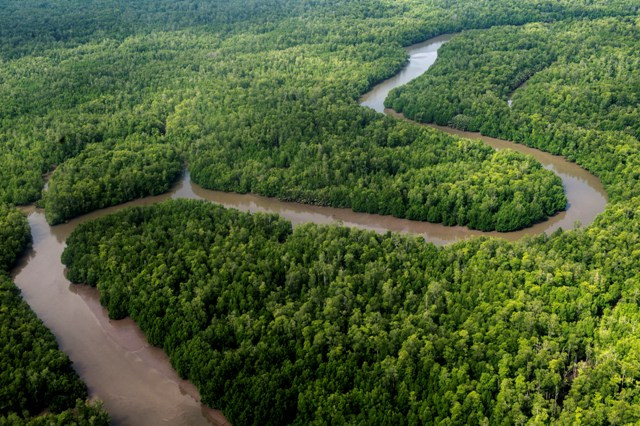 Masyarakat Papua Kesulitan Dapatkan Hutan Adat