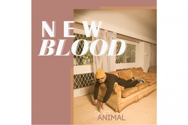 Drummer Elephant Kind Perkenalkan Proyek Musik SoftAnimal