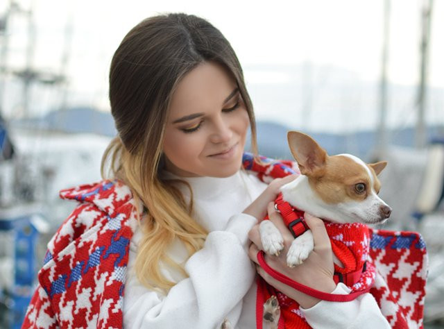 Bahaya Make Up untuk Hewan Peliharaan