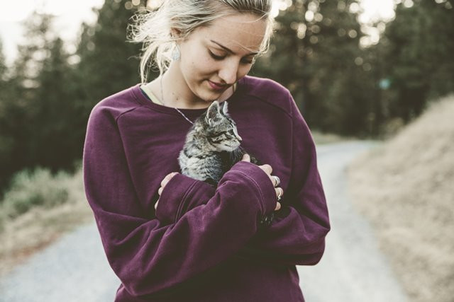 Ini Alasan Mengapa Kucing Sering Menjulurkan Lidahnya