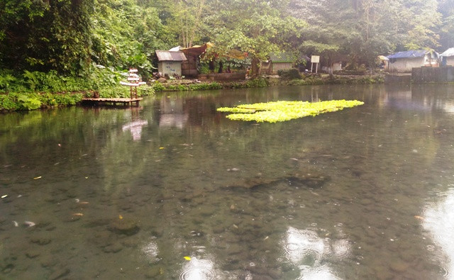 Sumber mata air Senjoyo. Foto: Medcom.id/Ilham Wibowo