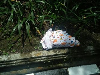 Mayat Bayi Berbungkus Kain Ditemukan di Kantor Kejati DIY