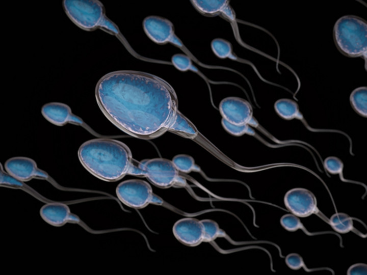 Jumlah Sperma yang Rendah Tingkatkan Risiko Penyakit