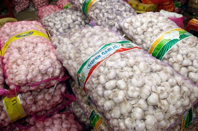 Menteri Amran Memanen 116 Hektare Bawang Putih