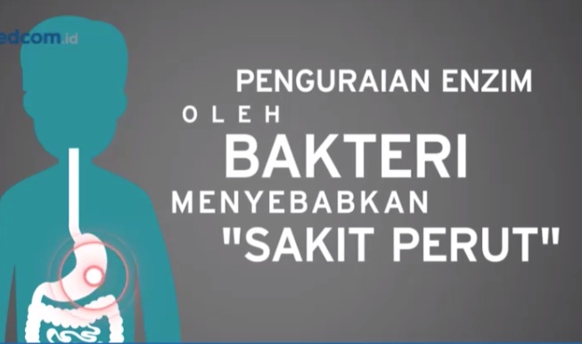 Ilustrasi makanan kedaluwarsa. 