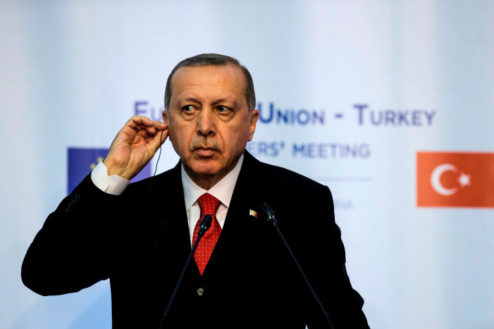 Turkey Won't Act against Russia 'Based on Allegation': Erdogan