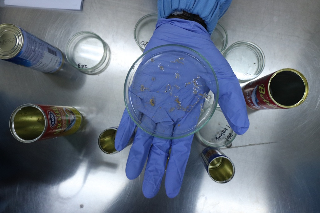 Petugas Balai Besar Pengawas Obat dan Makanan (BBPOM) Surabaya menunjukkan cacing yang didapat dari salah satu produk kemasan ikan makarel yang diteliti di Laboratorium BBPOM Surabaya, Jawa Timur, Kamis (29/3). ANTARA FOTO/Didik Suhartono/