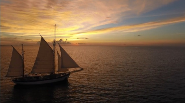 Fleur de Passion, Kapal Penyapu Ranjau era Perang Dunia