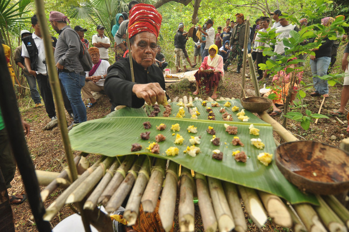 Melihat Ritual Pora'a Binangga di Palu