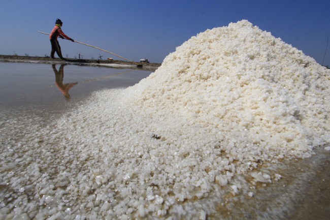 Garam Terasa 'Manis' di Karawang