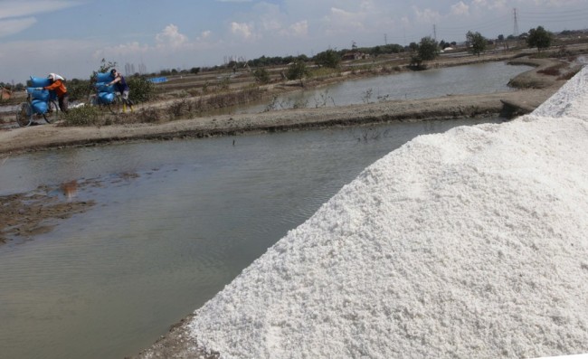 Harga Garam Petani di Karawang Melonjak
