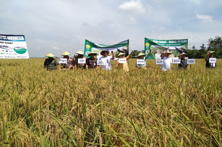 Petani Diharapkan Bisa Punya Industri Pangan Mandiri