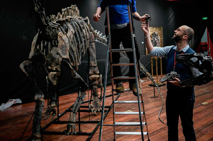 Dinosaurus Kini Jadi Hiasan Rumah