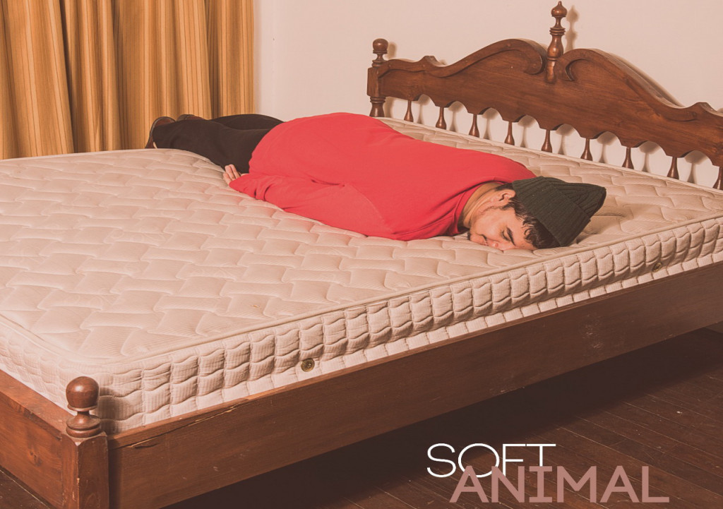 SoftAnimal, proyek solo drummer Elephant Kind, Bayu Adisapoetra menelurkan album EP baru bertajuk Nanook. (Foto: Whistle Media Indonesia)