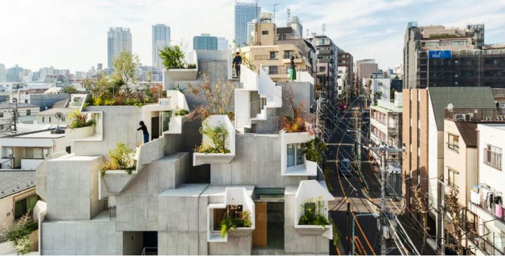 'Rumah Pohon' di Kampung  Jepang