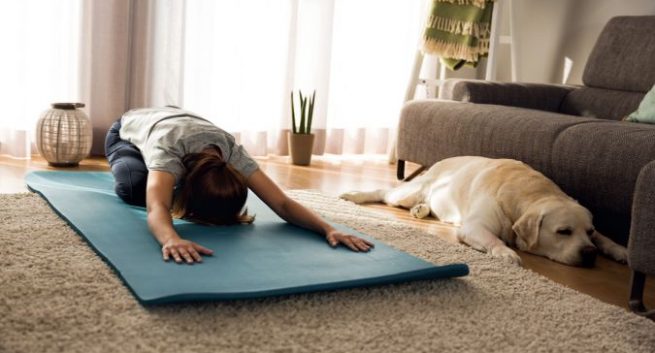 Doga, Tren Yoga Bersama Anjing