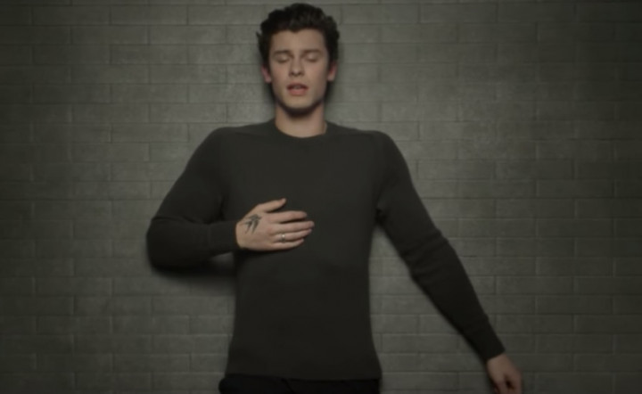 Shawn Mendes Rilis Video Musik In My Blood