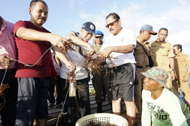 Kemendes PDTT Fasilitasi Budi Daya Rumput Laut