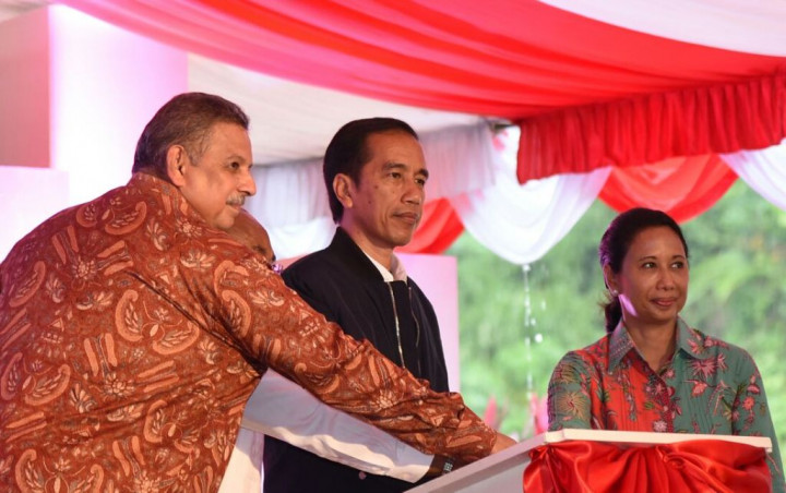 Menyasar Jokowi Lewat Rini-Dirut PLN