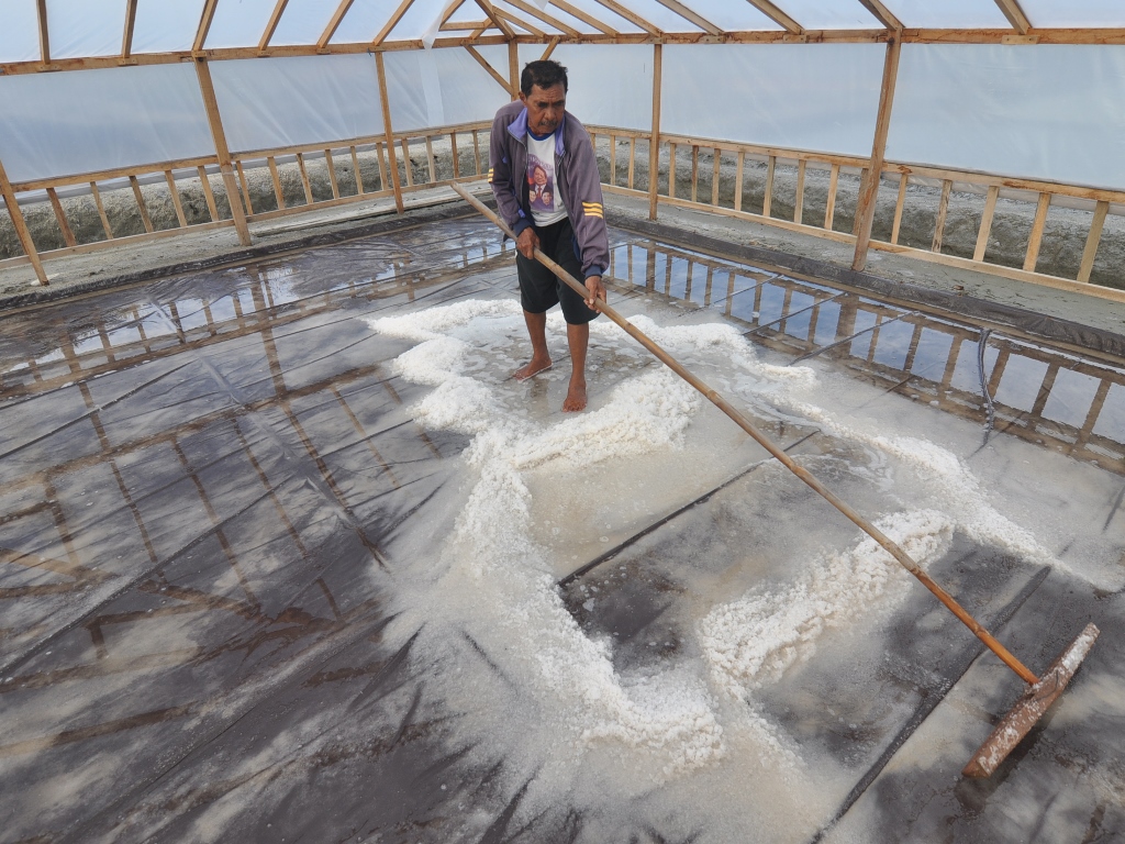 Seorang petani memanen garam di rumah produksi garam di kawasan penggaraman Talise, Palu, Sulawesi Tengah, Jumat (23/3). (Foto: Antara/Mohamad hamzah).