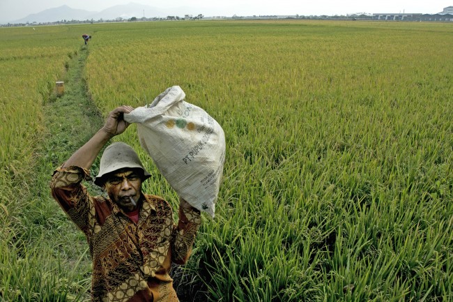 Bengkulu Selatan Targetkan Pembagian 3.800 Sertifikat Lahan