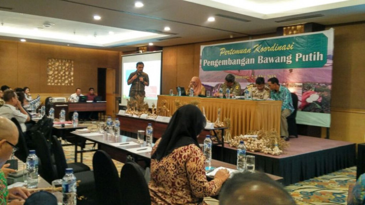 Potensi Lahan Pengembangan Bawang Putih 1,2 Juta Ha