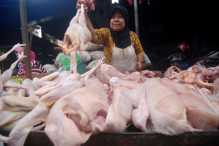 Pelemahan Rupiah Naikkan Harga Daging Ayam Broiler