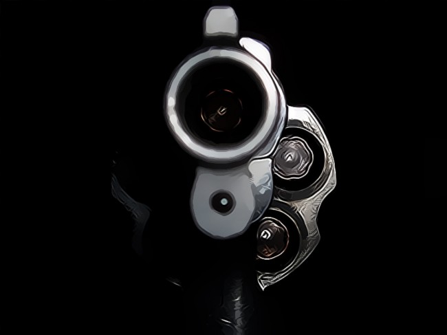 Police Shoot Dead Suspected Terrorist in Shootout