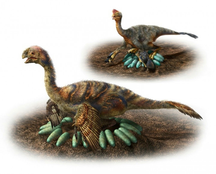 How Does a One-Tonne Dino Hatch Its Eggs? Carefully