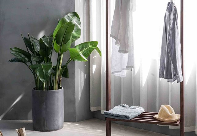 Ini Alasan Mengapa Alergi yang Kambuh Sebabkan Kelelahan