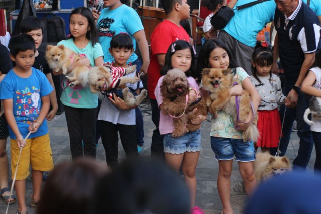 Kumpul Di Mall Cdl Juga Kampanye Dog Are Not Food