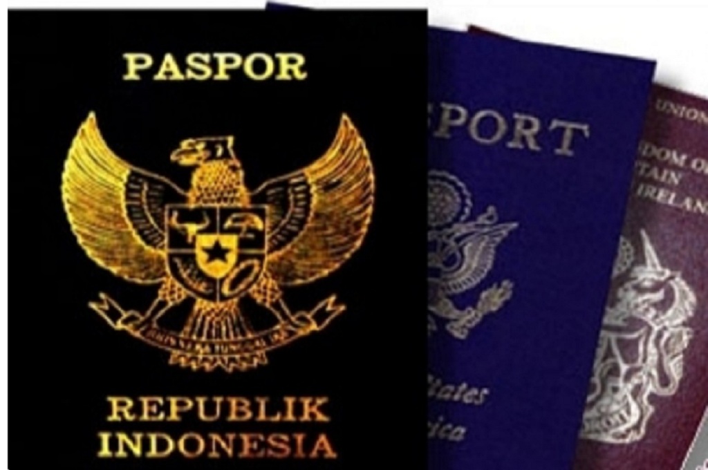 Ilustrasi pasport, Ant