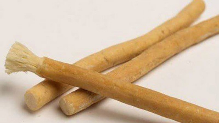 Manfaat Siwak Bagi Kesehatan Gigi