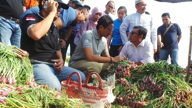 Sandi Cek Pasokan Bawang Merah di Brebes